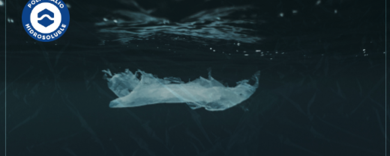 Bolsas biodegradables: una solución real para el medio ambiente